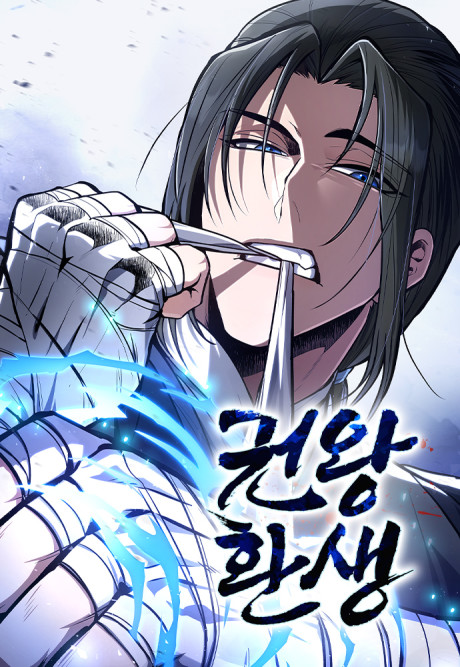 Reincarnation of the Fist King Cover Image