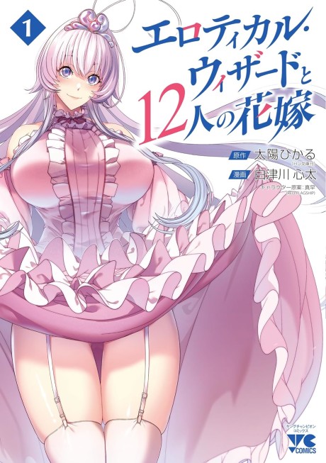 Erotical Wizard and 12 Brides Cover Image