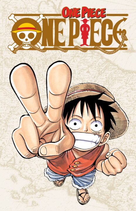 One Piece Cover Image